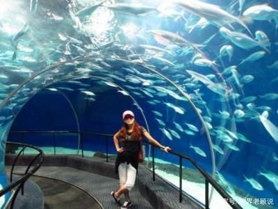做水族館能賺錢嗎現在（水族館如何盈利）