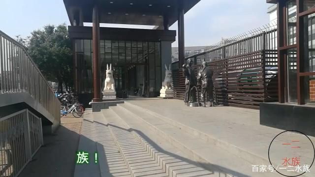 水族館開業做什么活動賺錢（水族館開業之際舉辦吸引人的活動）