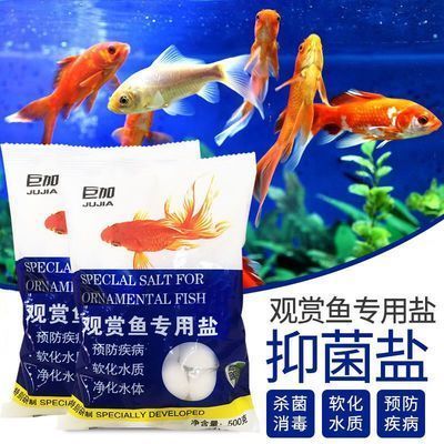 魚缸多長時間加一次鹽,每次加多少，淡水魚缸加鹽的最佳時機