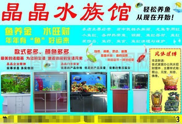 水族館里一般都有什么魚（水族館的魚類種類）