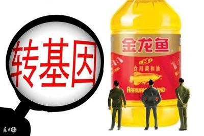 金龍魚對健康的具體影響：金龍魚對體重管理有什么影響 金龍魚對健康的具體影響：金龍魚對體重管理有什么影響 金龍魚百科 第5張