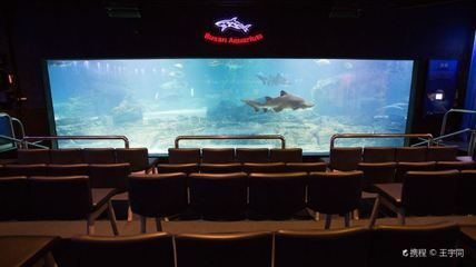 開一家水族館一年掙多少錢啊（開一家水族館一年的收入如何？）
