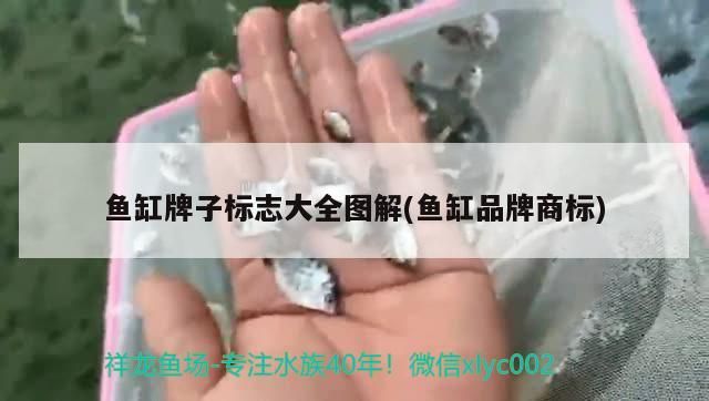 魚(yú)缸牌子標(biāo)志大全圖解(魚(yú)缸品牌商標(biāo))
