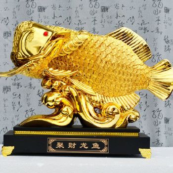 黃金貓觀賞魚國外叫什么名字(黃金貓魚圖片)