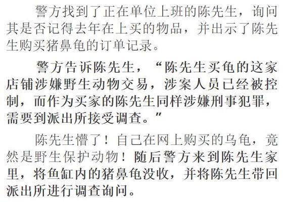 購買豬鼻龜怎么處罰：購買豬鼻龜判刑么