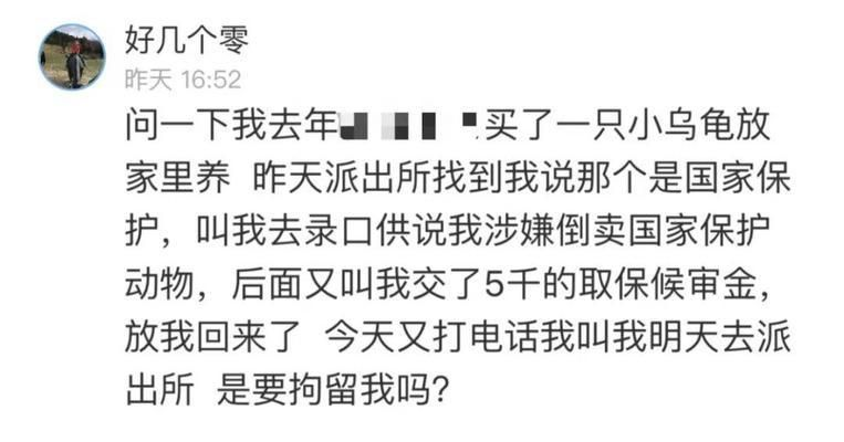 購買豬鼻龜怎么處罰：購買豬鼻龜判刑么