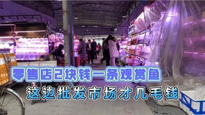 水族館批發(fā)市場（南寧水族批發(fā)市場） 水族館批發(fā)市場（南寧水族批發(fā)市場） 水族館百科（水族館加盟） 第4張