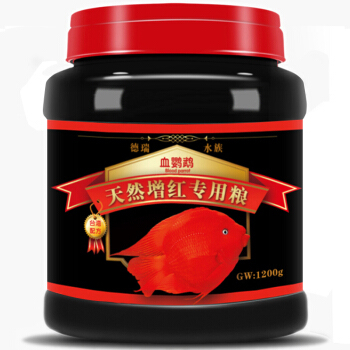 在廣州買龍魚的地方有哪些(在廣州買龍魚的地方有哪些呢)