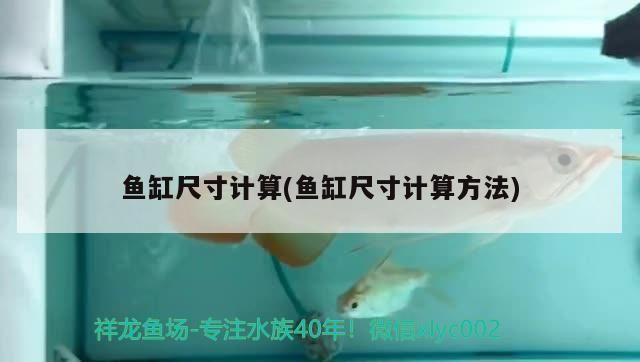 魚缸尺寸計算(魚缸尺寸計算方法) 魚缸尺寸計算(魚缸尺寸計算方法) 錦鯉魚百科 第3張