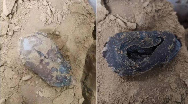 一號魚缸專賣店在哪里有(一號魚缸價(jià)格)