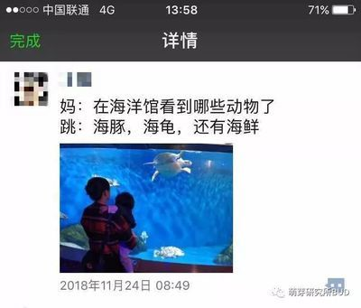 游戲水族館（水族館游戲哪個(gè)最治愈）