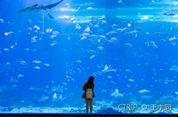 水族館好玩（水族館親子活動推薦）
