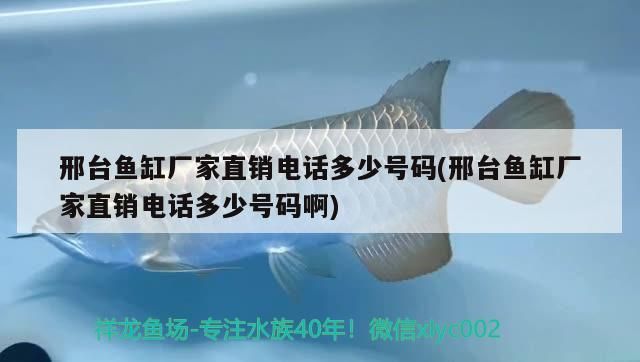邢臺(tái)魚缸廠家直銷電話多少號(hào)碼(邢臺(tái)魚缸廠家直銷電話多少號(hào)碼啊) 邢臺(tái)魚缸廠家直銷電話多少號(hào)碼(邢臺(tái)魚缸廠家直銷電話多少號(hào)碼啊) 元寶鳳凰魚百科 第2張