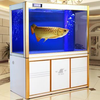 歐寶龍魚缸怎么樣，歐寶龍魚缸是否值得購買