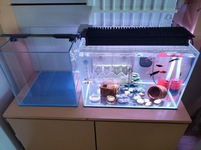 魚缸店從哪里進(jìn)貨的多(哪里魚缸批發(fā)廠家直銷的)