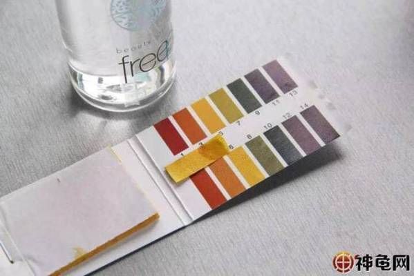 豬鼻龜適合多少ph值：豬鼻龜的水質管理