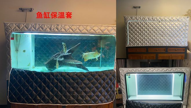 水族館魚缸加熱系統安裝（水族館魚缸加熱棒安裝方法）