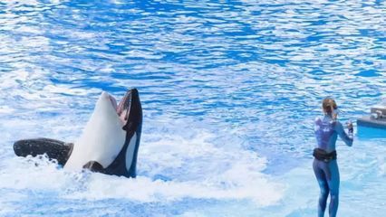 開個水族館的艱難生活視頻大全（關于開個水族館的艱難生活視頻大全）