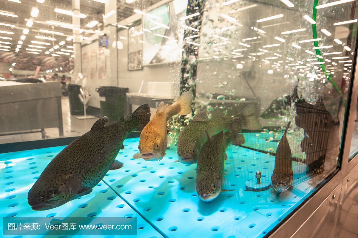 水族館主營（水族館主營詳情） 水族館主營（水族館主營詳情） 水族館百科（水族館加盟） 第5張