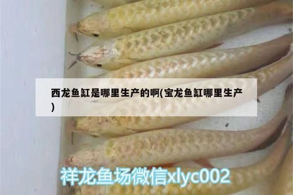 寶龍魚缸哪里生產，寶龍魚缸的專利技術有哪些寶龍魚缸專利技術有哪些