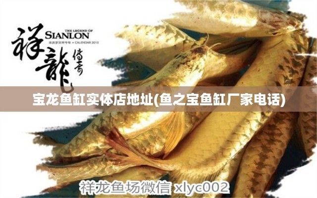 寶龍魚缸哪里生產(chǎn)，寶龍魚缸的專利技術(shù)有哪些寶龍魚缸專利技術(shù)有哪些