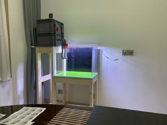 邢臺魚缸生產廠家電話號碼多少號(河北省邢臺市哪里有賣魚缸的?)