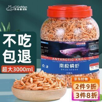 龍魚須子連根斷后能恢復需結合魚齡和飼養條件判斷（龍魚須子斷了還能長出來嗎）
