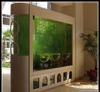 印尼圣塔倫大湖龍魚怎么樣啊（圣塔倫大湖紅龍）