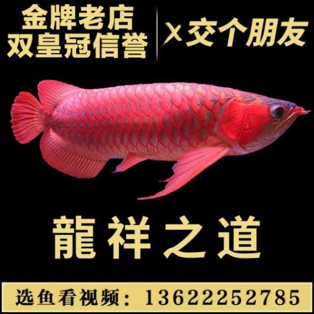 阿米卡星打一針