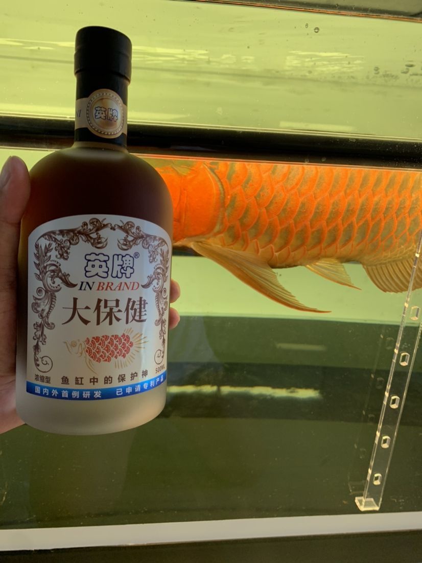 你是和愛魚干一杯還是給他做個大保健？