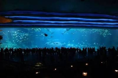 水族館開館時間（上海海洋水族館特色展覽介紹水族館開館時間表演時間表）