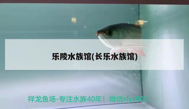 樂陵水族館(長樂水族館) 樂陵水族館(長樂水族館) 元寶鳳凰魚百科 第3張