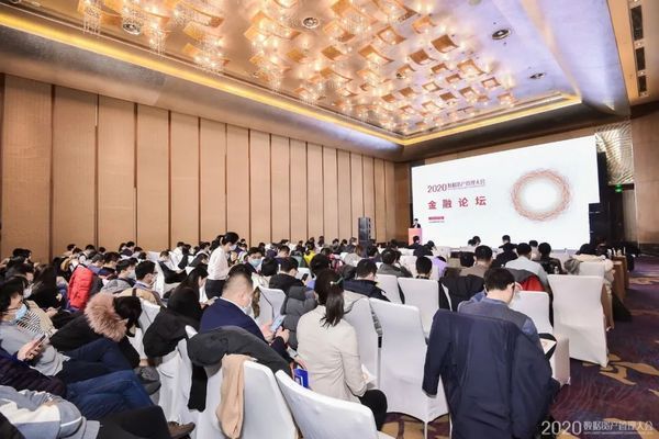 養銀龍魚需要什么濾材呢(養銀龍用什么濾材好)