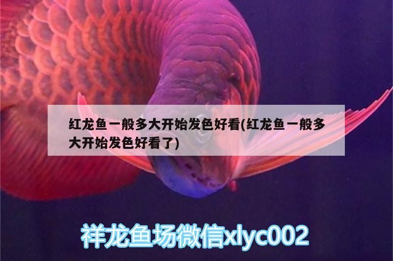 魚(yú)缸的燈用一直開(kāi)著嗎（ 魚(yú)缸里的燈需要一直開(kāi)嗎）