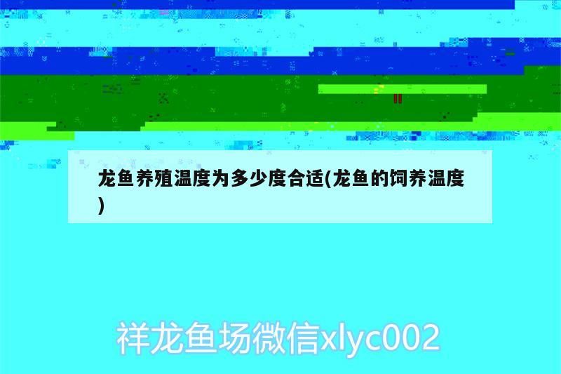龍魚養殖溫度為多少度合適(龍魚的飼養溫度) 黃金貓魚百科 第3張 龍魚養殖溫度為多少度合適(龍魚的飼養溫度) 龍魚養殖溫度為多少度合適(龍魚的飼養溫度) 黃金貓魚百科 第3張