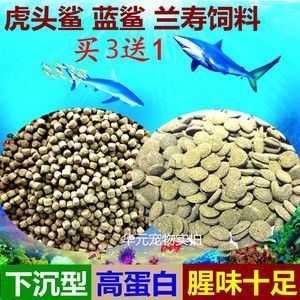 黃金貓魚繁殖飼料選擇指南（金魚繁殖飼料選擇指南）