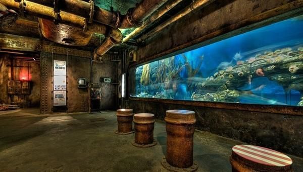 大氣的水族館名字（大氣中的水族館名字）