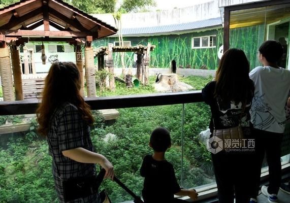 水族館幾點關(guān)門（關(guān)于水族館的關(guān)閉時間）