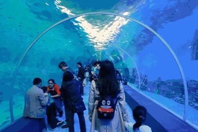水族館幾點(diǎn)關(guān)門（關(guān)于水族館的關(guān)閉時(shí)間）