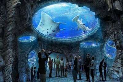 水族館幾點(diǎn)關(guān)門（關(guān)于水族館的關(guān)閉時(shí)間）