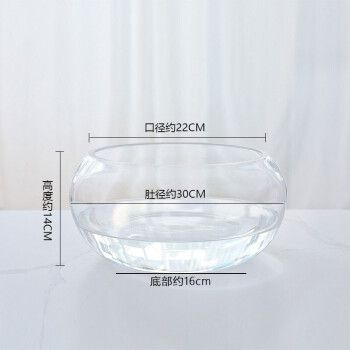 萌嘟星寵魚缸，萌嘟星寵魚缸智能功能介紹萌嘟星寵魚缸的維護技巧