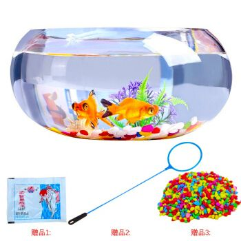 萌嘟星寵魚缸，萌嘟星寵魚缸智能功能介紹萌嘟星寵魚缸的維護技巧