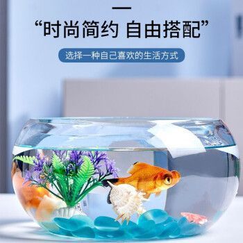 萌嘟星寵魚缸，萌嘟星寵魚缸智能功能介紹萌嘟星寵魚缸的維護技巧