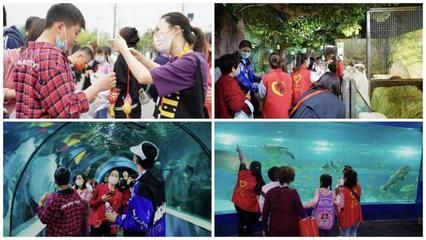 想開一家水族館（如何成功開設一家水族館市場調研水族館市場的成功要素） 想開一家水族館（如何成功開設一家水族館市場調研水族館市場的成功要素） 水族館百科（水族館加盟） 第4張