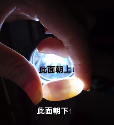 豬鼻龜蛋孵化技術要點和注意事項視頻：豬鼻龜孵化技術