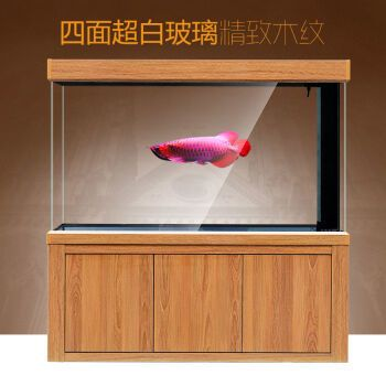 最貴的血紅龍魚品種排名榜：探秘最貴血紅龍魚品種排名榜，奢華水族背后的珍稀密碼