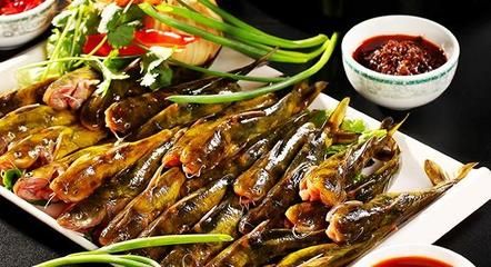 孔雀魚爛尾會傳染給別的魚嗎