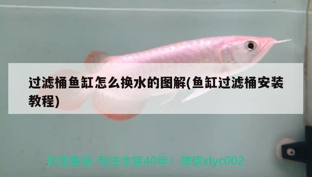 過濾桶魚缸怎么換水的圖解(魚缸過濾桶安裝教程)