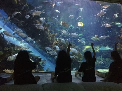 開一家水族館做什么準備好（開一家水族館需要準備什么）
