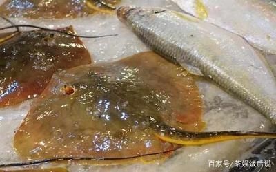 魟魚在水面上游什么意思啊視頻：魟魚在水面上游什么意思